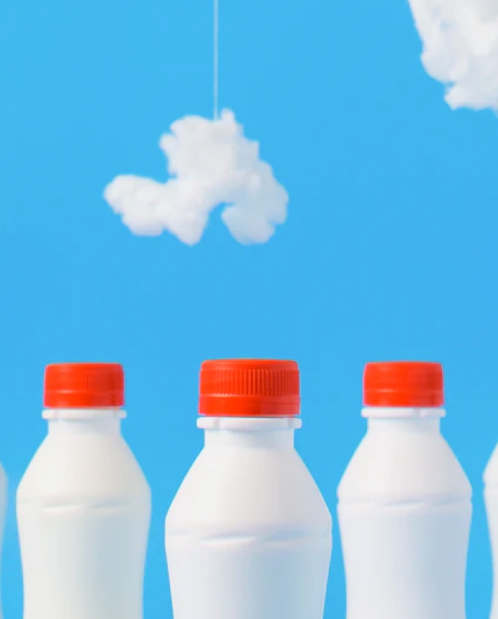 milk bottles photograph