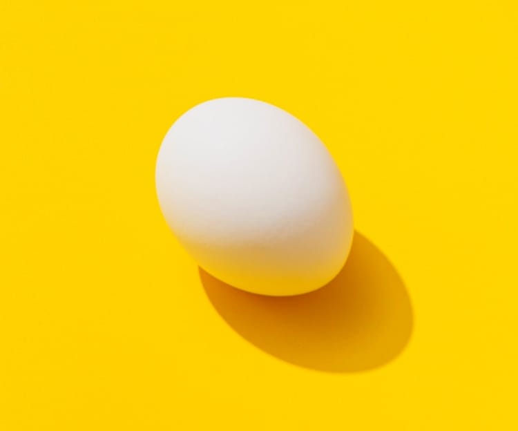 egg photograph